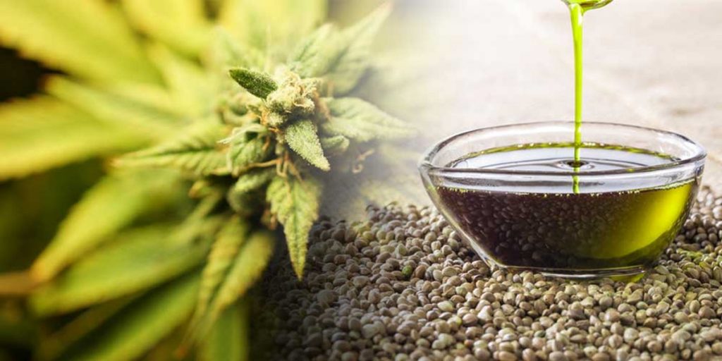 cbd oil