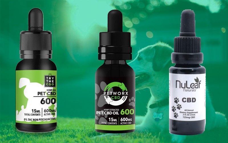 cbd oil for dog