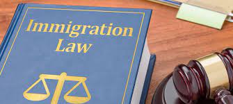 Immigration law